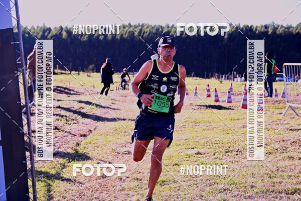 Buy your photos of the eventWolf Series - Botucatu on Fotop