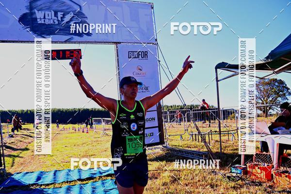 Buy your photos of the eventWolf Series - Botucatu on Fotop