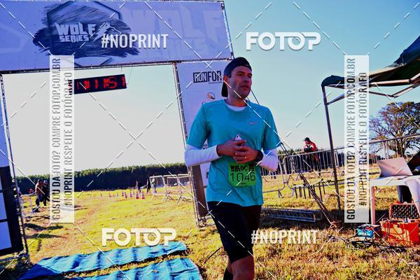 Buy your photos of the eventWolf Series - Botucatu on Fotop