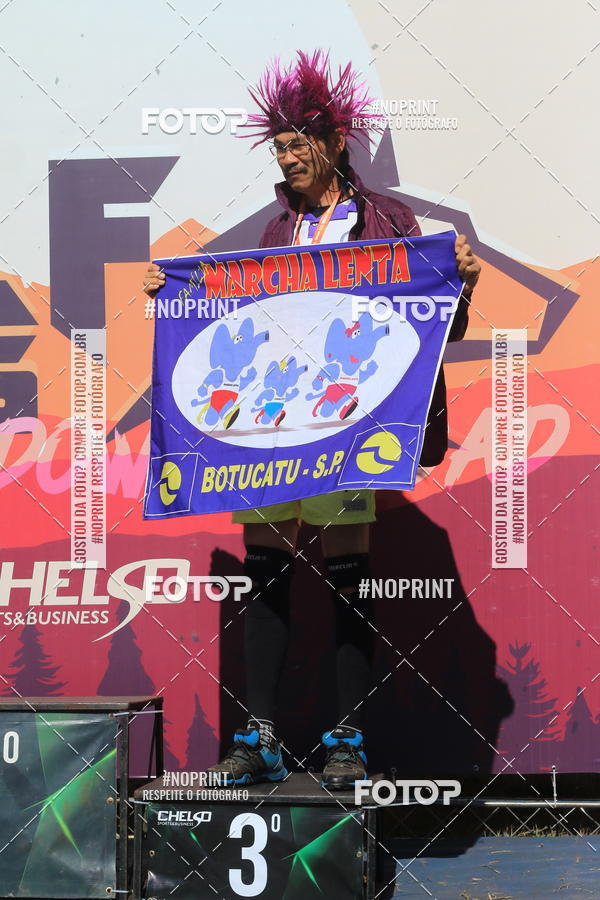 Buy your photos of the eventWolf Series - Botucatu on Fotop