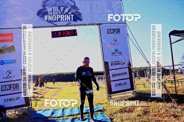 Buy your photos of the eventWolf Series - Botucatu on Fotop