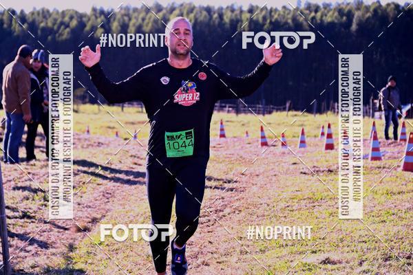 Buy your photos of the eventWolf Series - Botucatu on Fotop