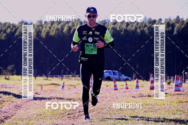 Buy your photos of the eventWolf Series - Botucatu on Fotop