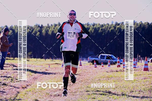 Buy your photos of the eventWolf Series - Botucatu on Fotop