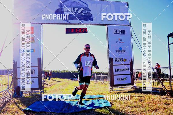 Buy your photos of the eventWolf Series - Botucatu on Fotop