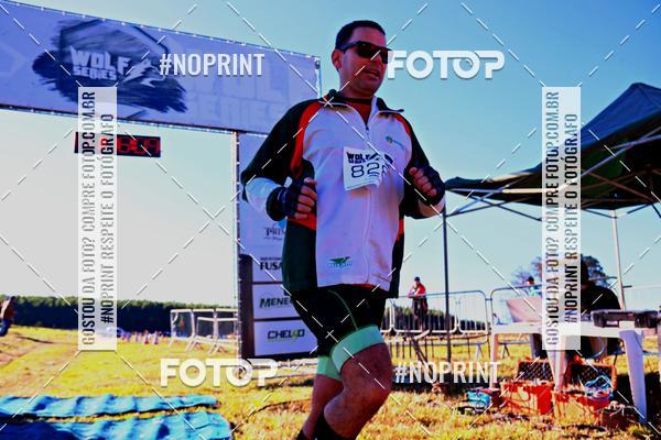 Buy your photos of the eventWolf Series - Botucatu on Fotop