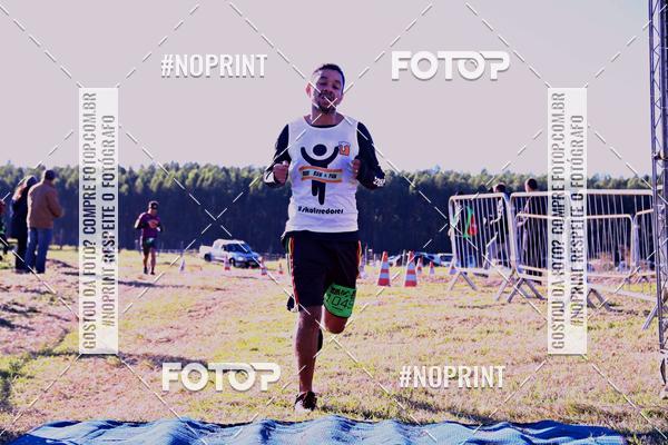 Buy your photos of the eventWolf Series - Botucatu on Fotop