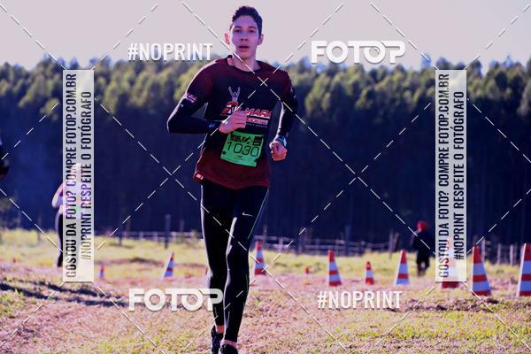 Buy your photos of the eventWolf Series - Botucatu on Fotop