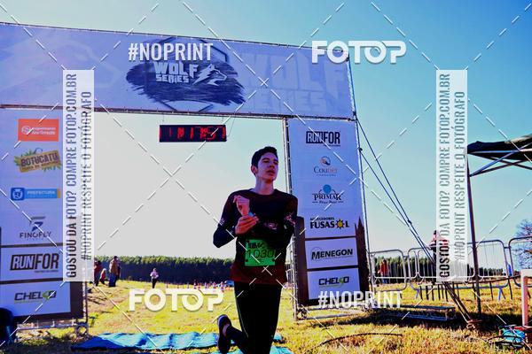 Buy your photos of the eventWolf Series - Botucatu on Fotop