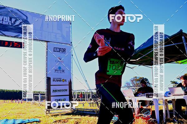 Buy your photos of the eventWolf Series - Botucatu on Fotop