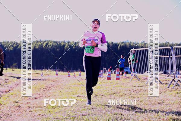 Buy your photos of the eventWolf Series - Botucatu on Fotop