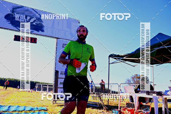 Buy your photos of the eventWolf Series - Botucatu on Fotop