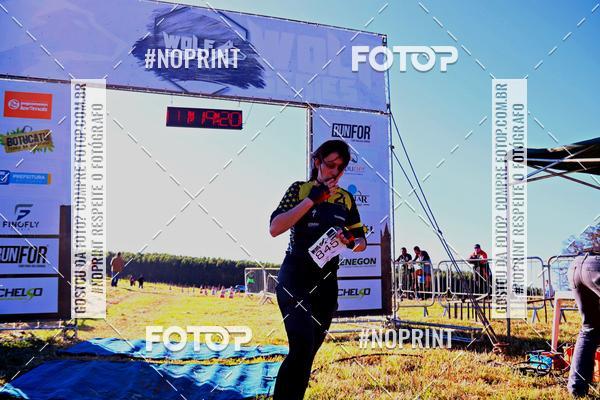 Buy your photos of the eventWolf Series - Botucatu on Fotop