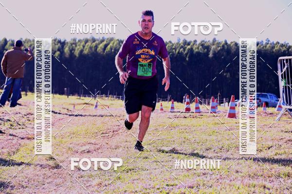 Buy your photos of the eventWolf Series - Botucatu on Fotop