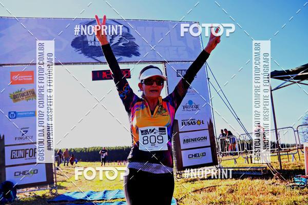 Buy your photos of the eventWolf Series - Botucatu on Fotop