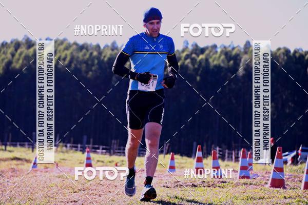 Buy your photos of the eventWolf Series - Botucatu on Fotop