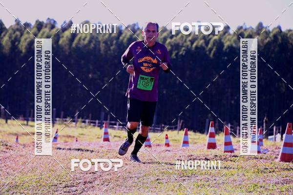 Buy your photos of the eventWolf Series - Botucatu on Fotop