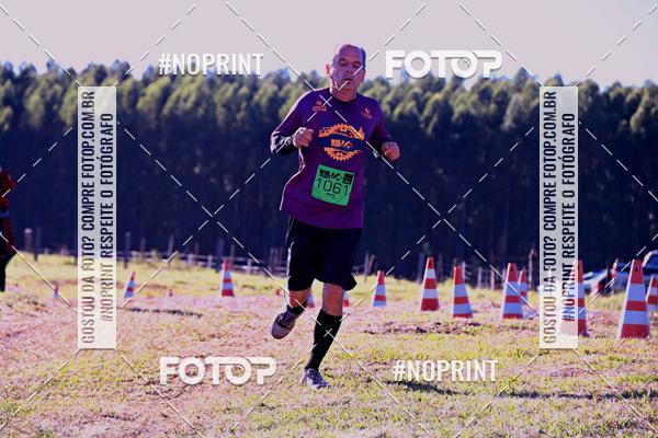 Buy your photos of the eventWolf Series - Botucatu on Fotop