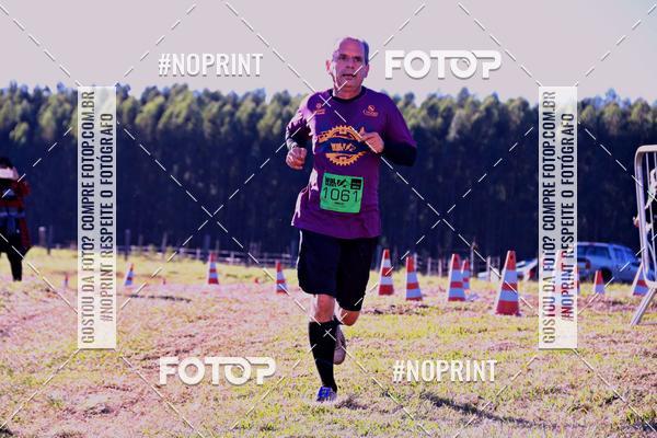 Buy your photos of the eventWolf Series - Botucatu on Fotop