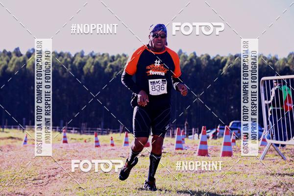 Buy your photos of the eventWolf Series - Botucatu on Fotop