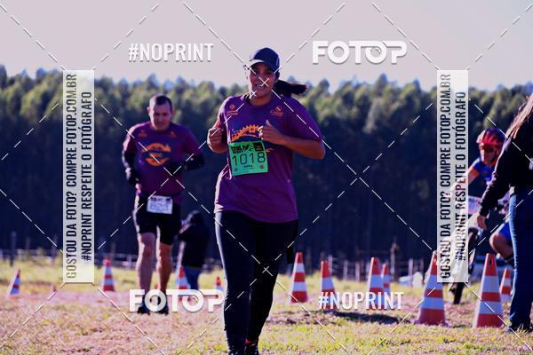 Buy your photos of the eventWolf Series - Botucatu on Fotop