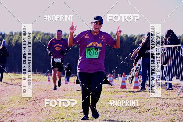 Buy your photos of the eventWolf Series - Botucatu on Fotop