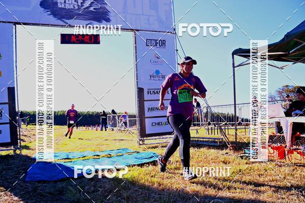 Buy your photos of the eventWolf Series - Botucatu on Fotop