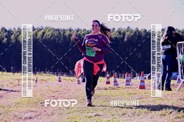 Buy your photos of the eventWolf Series - Botucatu on Fotop