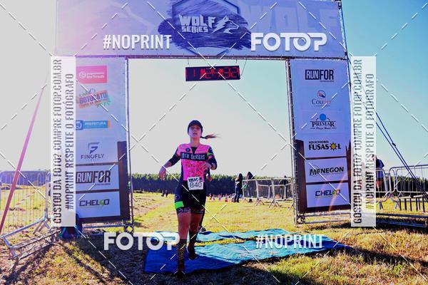 Buy your photos of the eventWolf Series - Botucatu on Fotop