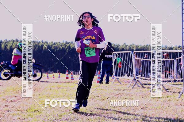 Buy your photos of the eventWolf Series - Botucatu on Fotop