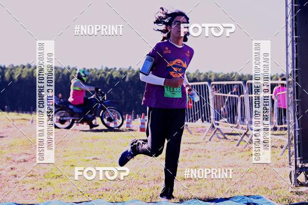 Buy your photos of the eventWolf Series - Botucatu on Fotop