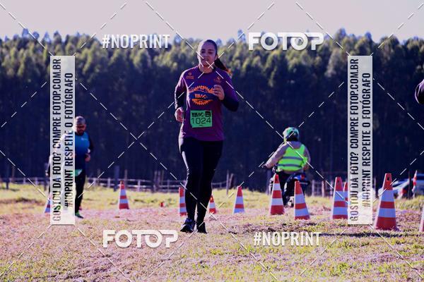 Buy your photos of the eventWolf Series - Botucatu on Fotop