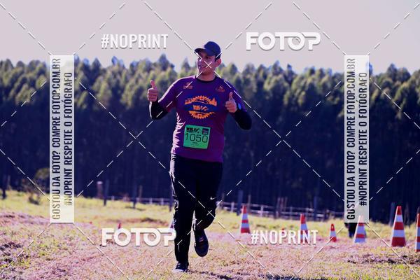 Buy your photos of the eventWolf Series - Botucatu on Fotop