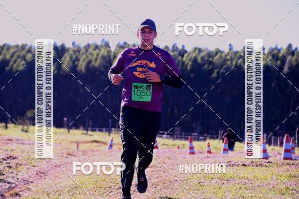 Buy your photos of the eventWolf Series - Botucatu on Fotop