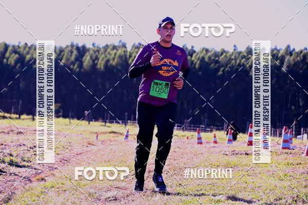 Buy your photos of the eventWolf Series - Botucatu on Fotop