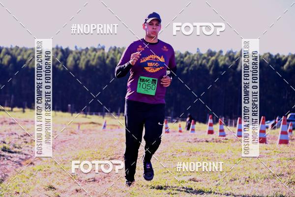 Buy your photos of the eventWolf Series - Botucatu on Fotop