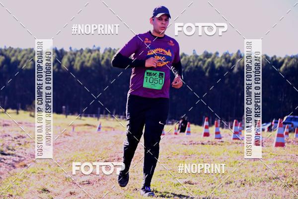 Buy your photos of the eventWolf Series - Botucatu on Fotop