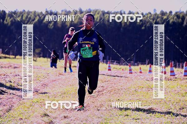 Buy your photos of the eventWolf Series - Botucatu on Fotop