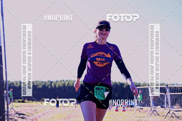 Buy your photos of the eventWolf Series - Botucatu on Fotop