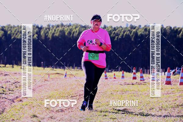 Buy your photos of the eventWolf Series - Botucatu on Fotop