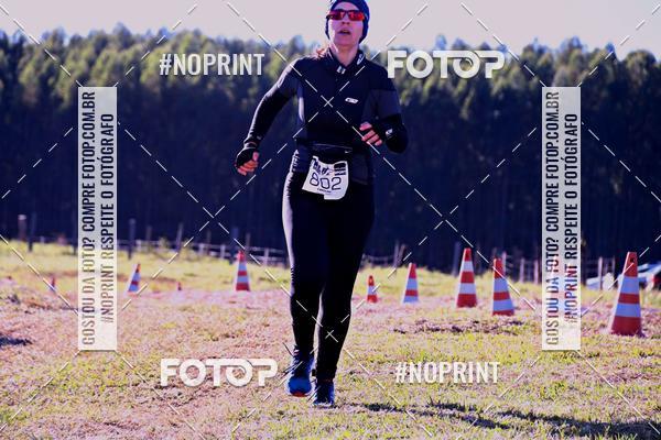 Buy your photos of the eventWolf Series - Botucatu on Fotop