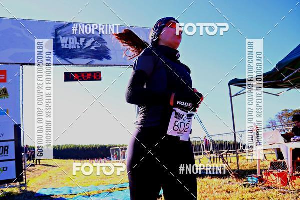 Buy your photos of the eventWolf Series - Botucatu on Fotop