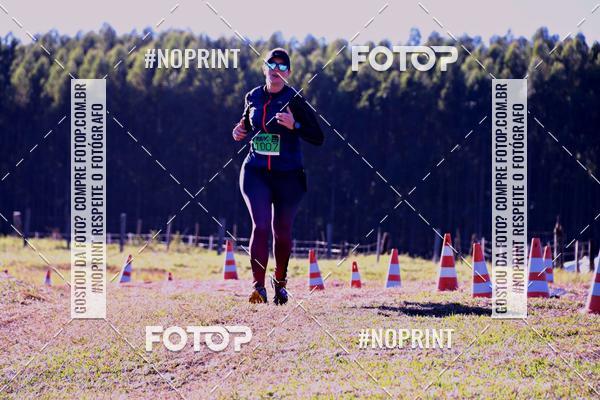 Buy your photos of the eventWolf Series - Botucatu on Fotop