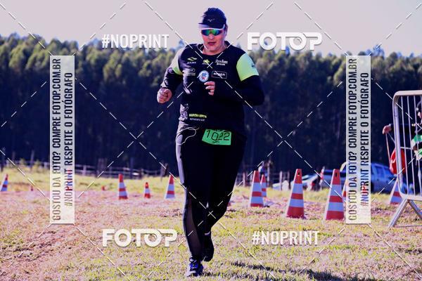 Buy your photos of the eventWolf Series - Botucatu on Fotop