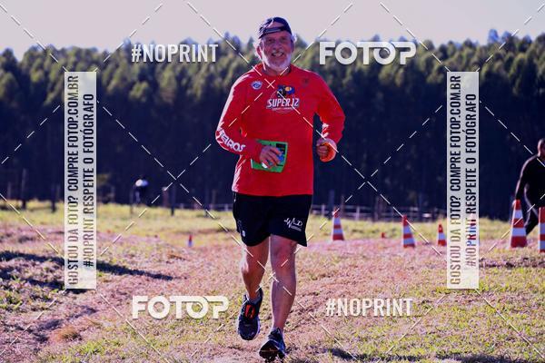 Buy your photos of the eventWolf Series - Botucatu on Fotop