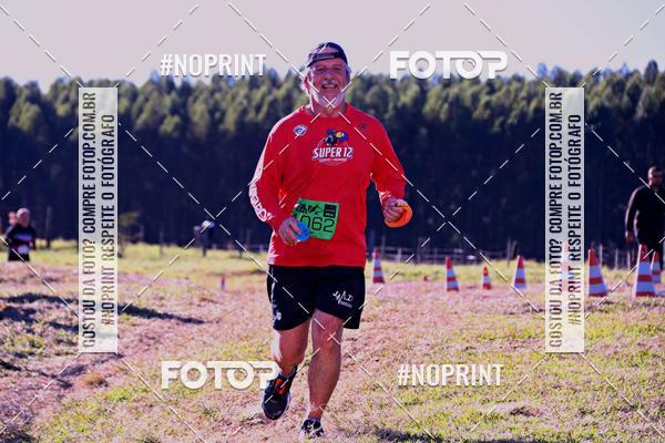 Buy your photos of the eventWolf Series - Botucatu on Fotop