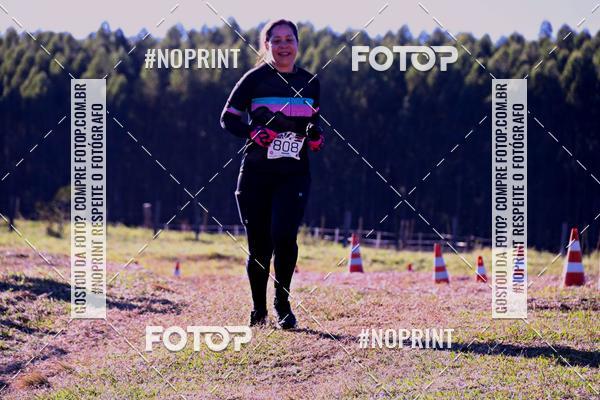 Buy your photos of the eventWolf Series - Botucatu on Fotop