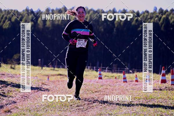 Buy your photos of the eventWolf Series - Botucatu on Fotop