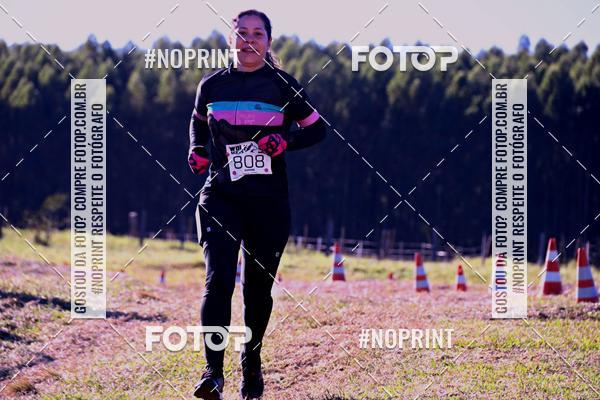 Buy your photos of the eventWolf Series - Botucatu on Fotop