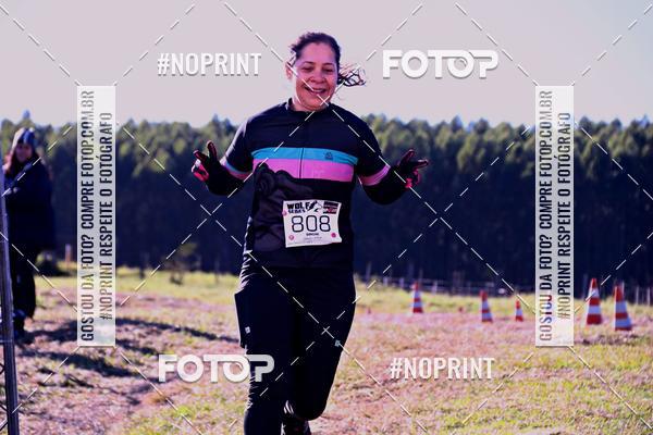 Buy your photos of the eventWolf Series - Botucatu on Fotop